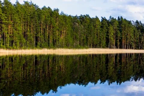 Tree Reflection in the Lake on a Sunny Spring Day - Autumn Colours 写真素材