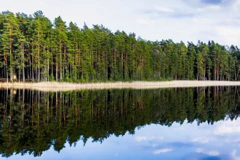 Tree Reflection in the Lake on a Sunny Spring Day - Autumn Colours 写真素材