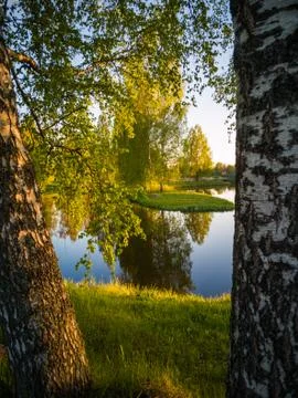 Tree Reflection in the Lake on a Sunny Spring Day - Autumn Colours Fotos Stock