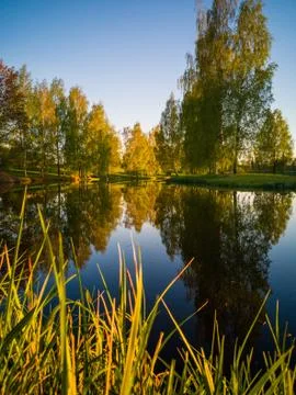 Tree Reflection in the Lake on a Sunny Spring Day - Autumn Colours Photos