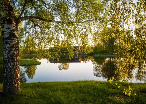Tree Reflection in the Lake on a Sunny Spring Day - Autumn Colours Foto stock