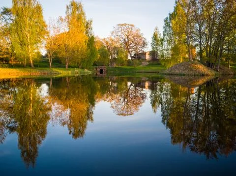 Tree Reflection in the Lake on a Sunny Spring Day - Autumn Colours Foto stock