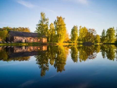 Tree Reflection in the Lake on a Sunny Spring Day - Autumn Colours Photos