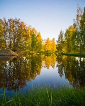 Tree Reflection in the Lake on a Sunny Spring Day - Autumn Colours Stock-Fotos