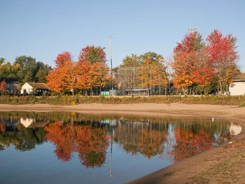 Tree Reflection Stock Photos