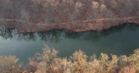 Tree Reflection on River 4K Stock Footage 173163694