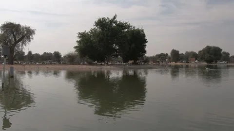 Tree reflection in water. Lake view in desert Stock Footage 259647559
