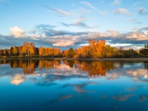 Tree reflection in water Stockfoto's