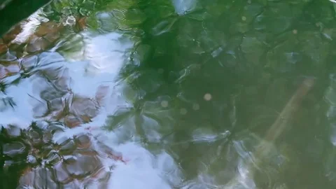 Tree reflection in water ripples Stock Footage 77299285
