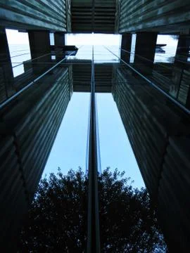 Tree Reflection at Window of Polish Supreme Court Stock Photos