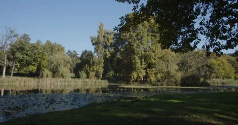 Tree reflections on artificial lake waters 4K tilting video Stock Footage 322562898