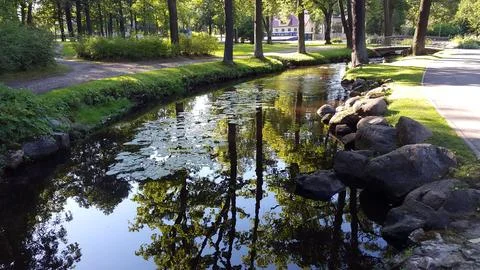Tree reflections in a calm park canal with stone banks on a sunny day Stock Photos