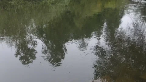 Tree reflections on flowing river water in Sweden Stockbeeldmateriaal 347207642