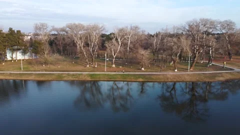 Tree reflections in the lake aerial Stock Footage 168969041
