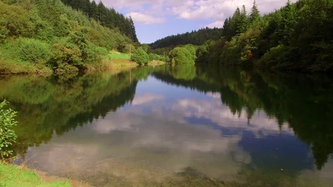 TREE REFLECTIONS LAKE DALBY NORTH YORKSHIRE Stock Footage 70719127
