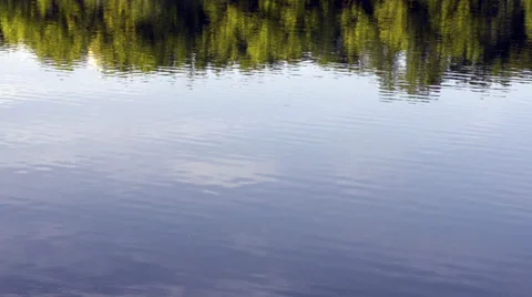 Tree reflections in a lake Stock Footage 28833137