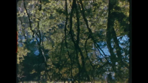 Tree reflections panorama on water surface super 8 Stock Footage 346180338