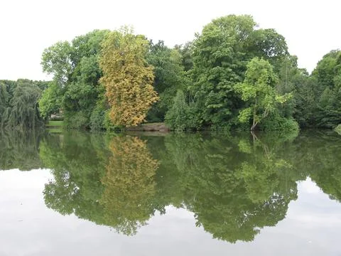 Tree reflections Stock-Fotos