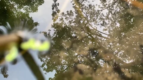 Tree reflections ripple in calm water with mirrored patterns Stock Footage 312096774
