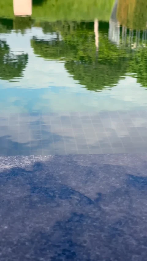Tree Reflections in Slightly Rippling Clear Water on Sunny Day Vertical Video Stock Footage 282533739