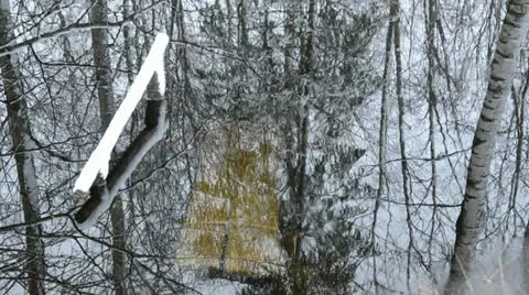 Tree reflections in the water and snow Stock Footage 10863548