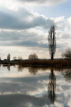 Tree reflections on the water Stock Photos