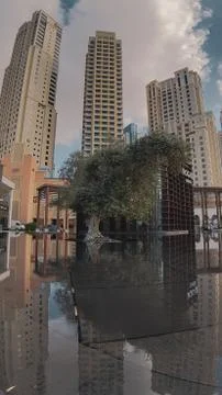 Tree reflections in the water Foto stock