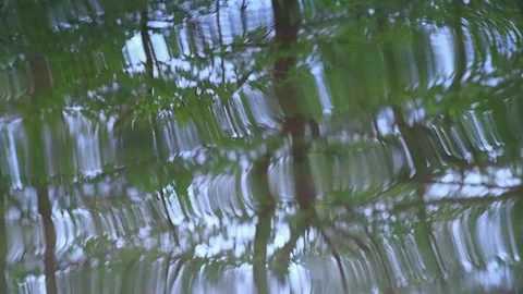 Tree reflections on wavy water movements on a small lake. Video stock 133051605