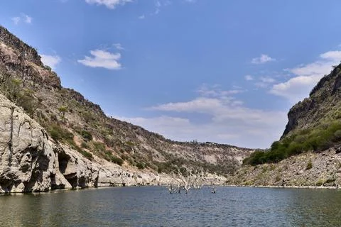 Tree remains in the middle of the dam Stock Photos