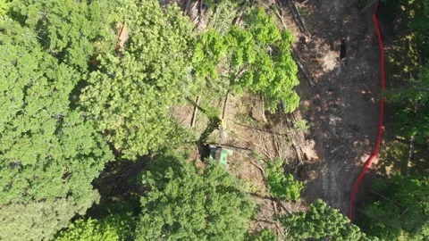 Tree Removal from Above Stock Footage 254043589