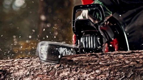 Tree removal after it is cut free. SLO MO Logger cutting into a tree with a Видео 336570388