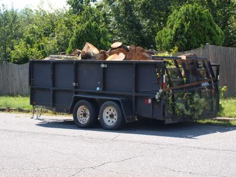 Tree removal Stock Photos