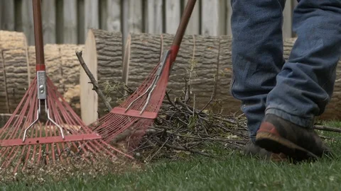 Tree Removal Rake Stock Footage 121272606