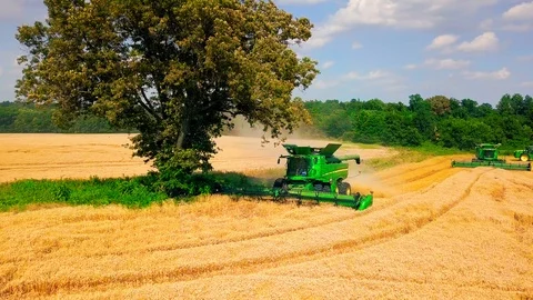 Tree Reveal of John Deere Combines in Wheat Harvest 動画素材 91001594