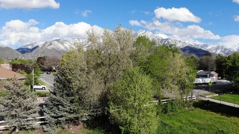 Tree Reveal Mountains Snow Spring Trees Stock Footage 89167978