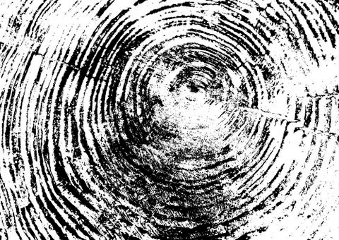 Tree ring, log, wood texture. Black and white. Vector illustration EPS 10 iso Stock Illustration