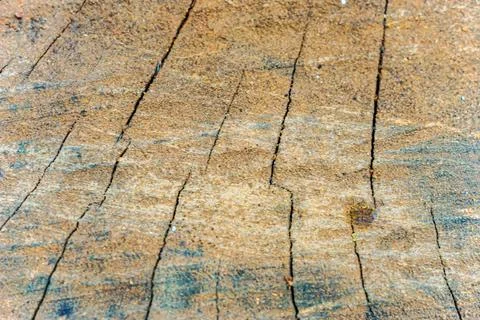 Tree ring textured old weathered wood Stock Photos