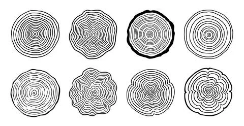 Tree ring wood circle set. Hand drawn tree ring pattern, line ripple circle wood Stock Illustration