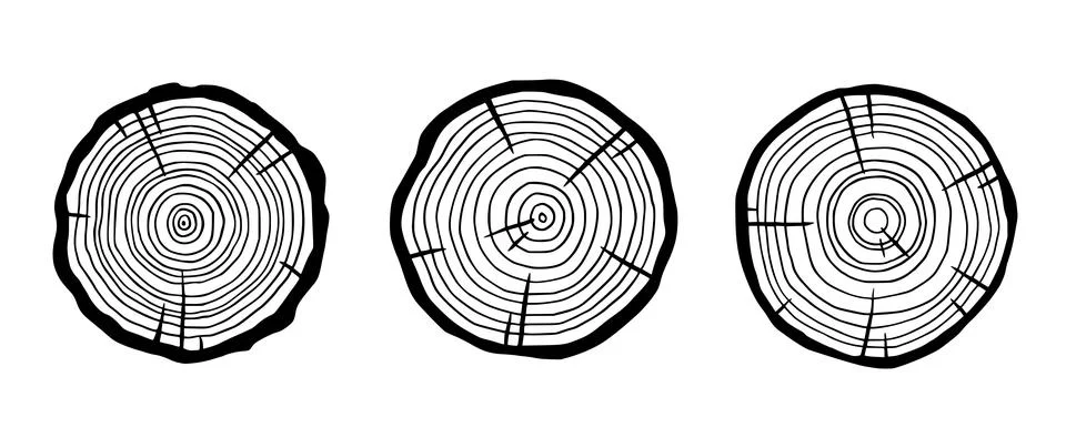 Tree ring wood circle set. Hand drawn tree ring pattern, line ripple circle wood Stock Illustration