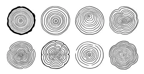 Tree ring wood circle set. Hand drawn tree ring pattern, line ripple circle wood Stock Illustration