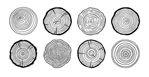 Tree ring wood circle set. Hand drawn tree ring pattern, line ripple circle wood Stock Illustration