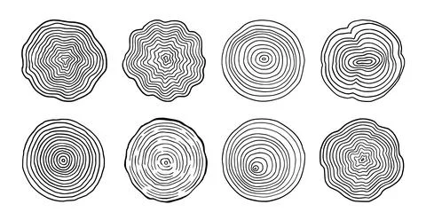 Tree ring wood circle set. Hand drawn tree ring pattern, line ripple circle wood Stock Illustration