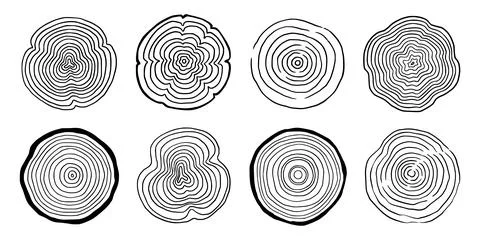 Tree ring wood circle set. Hand drawn tree ring pattern, line ripple circle wood Stock Illustration