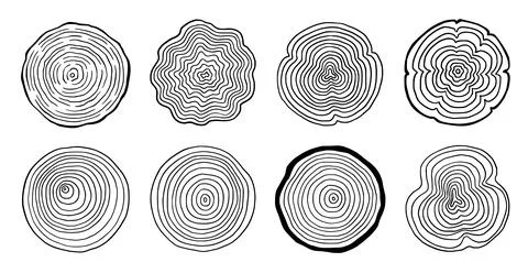 Tree ring wood circle set. Hand drawn tree ring pattern, line ripple circle wood Stock Illustration
