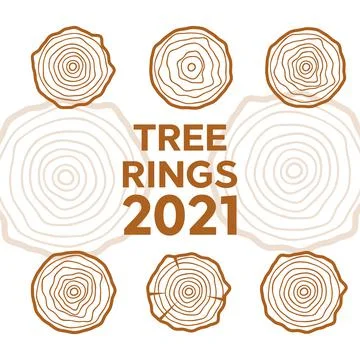 Tree rings background. Abstract age annual circle tree vector Stock Illustration