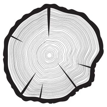 Tree rings background. Annual tree イラスト素材