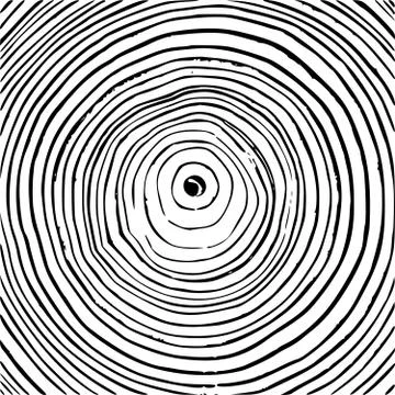 Tree rings background, cut tree trunk, wooden texture, lumber black and white Stock Illustration