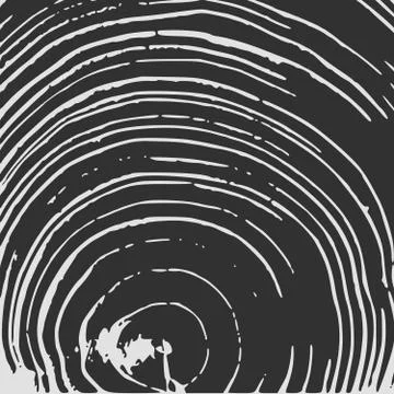 Tree rings background, cut tree trunk, wooden texture, lumber black and white Stockillustratie