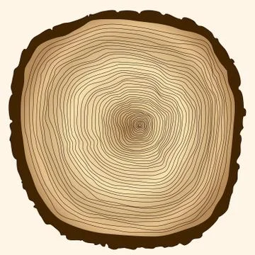 Tree rings, cut stump Illustrazione stock