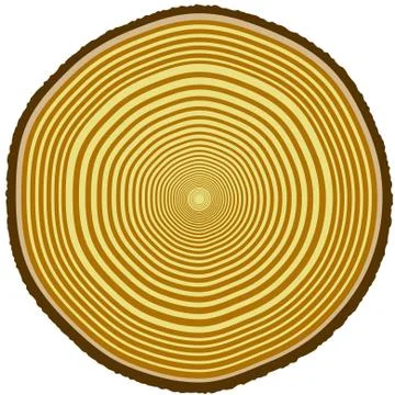 Tree rings Stock Illustration